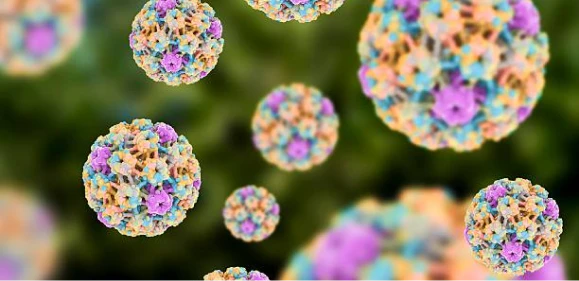 Virus del Papiloma Humano VPH