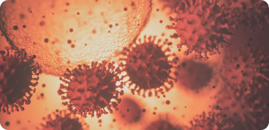 Virus Sincicial Respiratorio (VSR)